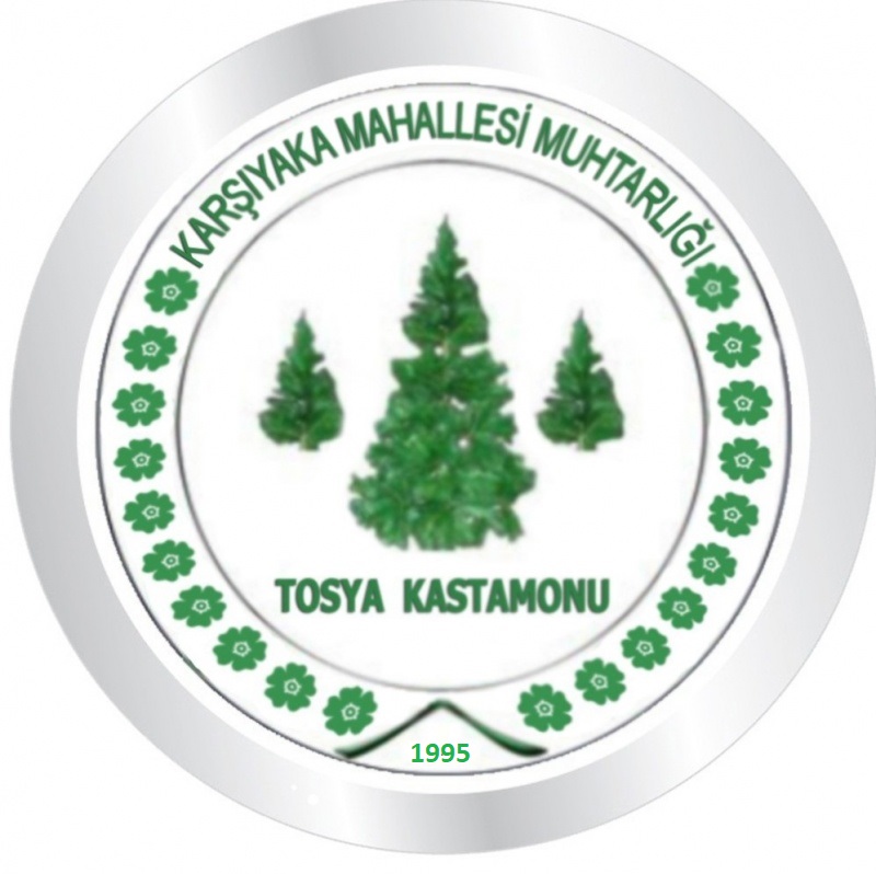 Tosya Yazam