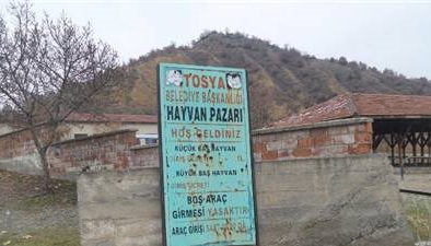 Tosya Yazam