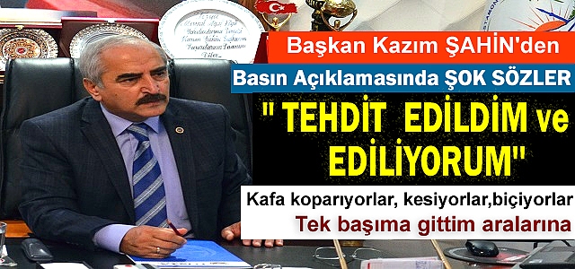Tosya Yazam