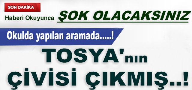 Tosya Yazam