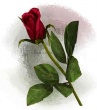 Dosya adı : sade-gul.jpg
Dosya boyutu : 26KB
Boyutları : 400x451
Eklenme tarihi : sade-gul.jpg