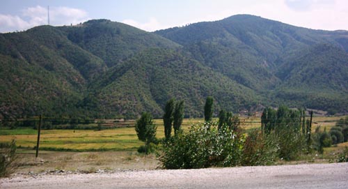 tosya pirincinin yetitigi celtik tarlalar
