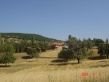 Dosya adı : kilkuyukoyu.jpg
Dosya boyutu : 28KB
Boyutları : 500x375
Eklenme tarihi : kilkuyukoyu.jpg