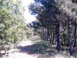 Dosya adı : o4_0010.jpg
Dosya boyutu : 78KB
Boyutları : 500x375
Eklenme tarihi : o4_0010.jpg