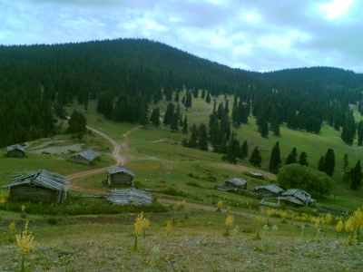 yayla
